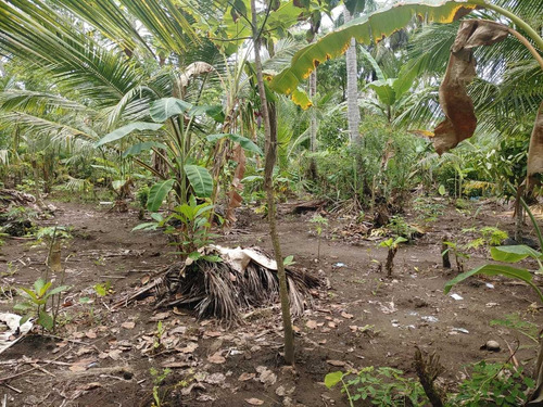 Se Vende En Nagua