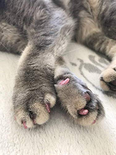 100pcs Cat Nail Caps / Tips Ymccool Pet Cat Kitty Soft Claws