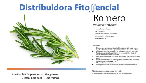 Romero Auxiliar Como Terapia Complementaria (fresco O Seco)