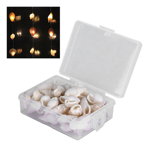 Caracol De Mar Conchas Naturales Joyería Artesanía Diy Conch