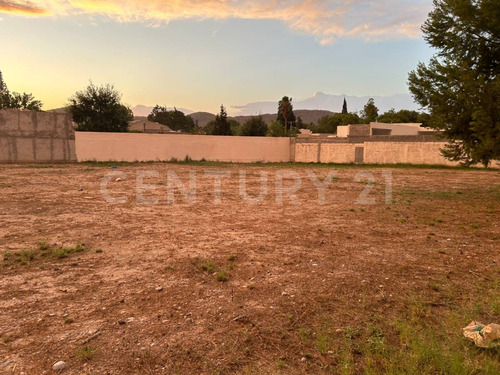 Se Vende Terreno 10,000 M2 En Eulalio Gutiérrez