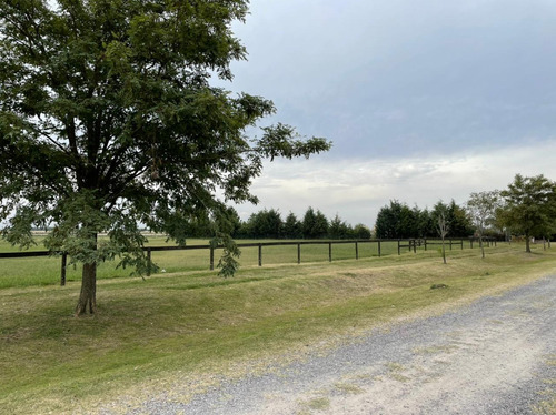 Imagen 3 de 14 de Lote En Venta Chacras De La Trinidad, Cañuelas!