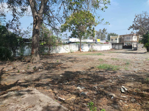 Imagen 3 de 4 de Terrenos En Renta En Sección Centro, Allende