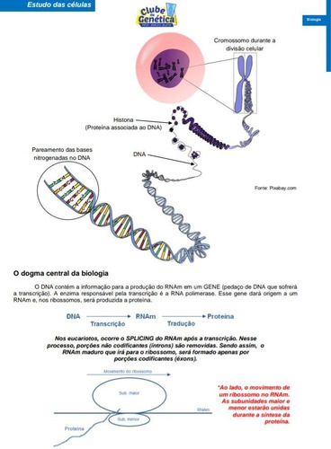 Imagem 4 de 6 de Livro Resumo De Biologia Para Enem, Vestibulares E Escolas