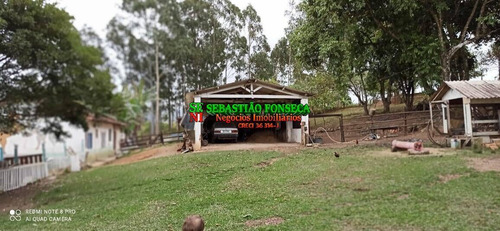 Imagem 14 de 15 de Chácara Excelente 13 Mil M² Em Caçapava - 1841