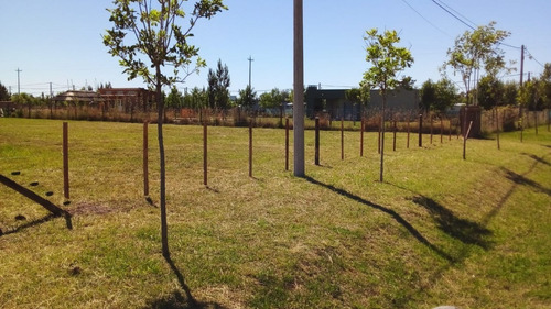 Imagen 5 de 9 de Lote Con Mejoras En Barrio De Quintas Los Fresnos Uribelarrea