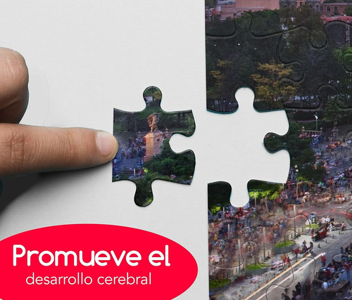 Rompecabezas De Bellas Artes 1000 Piezas