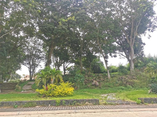 Imagen 3 de 10 de Terreno En Venta Paseo De La Reina