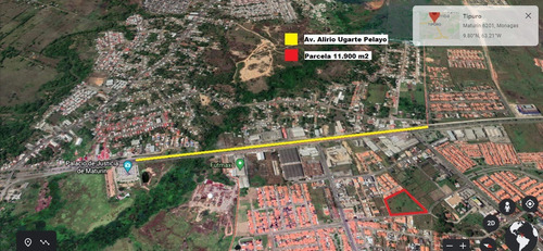 Imagen 3 de 3 de 11.900 M2 De Parcela En La Mejor Zona De Tipuro