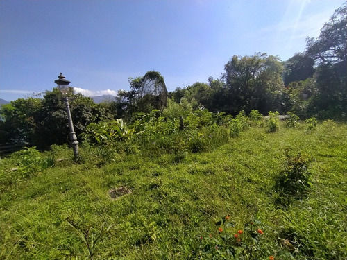Imagen 5 de 8 de Venta Terreno 5.100 M2, Alto Hatillo