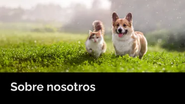 Sobre nosotros