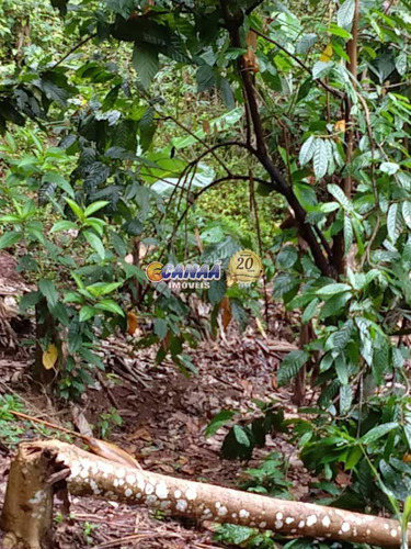 Imagem 22 de 30 de Sitio Em Itariri Com Muita Área Verde, Próximo Ao Centro - V7719
