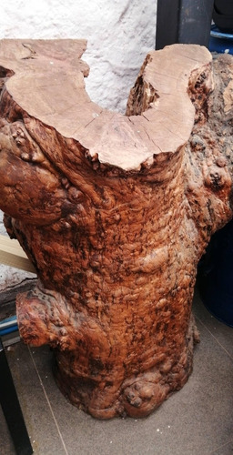 Tronco Madera Rustica