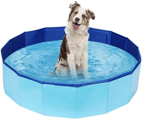 Piscina De Pvc Para Mascotas, Bañera Portátil Para Perros.