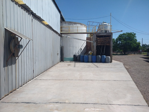 Imagen 5 de 10 de Bodega En Palmira
