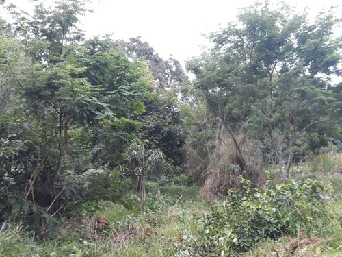Chácara No Sul De Minas , Cidade De Seritinga, Apenas 3,5 Klm De Terra , Lago , Riacho. - 508