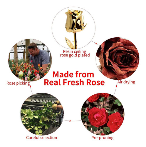 Rosa De Oro De 24 Quilates, Con Diseño De Rosas Bañadas En R