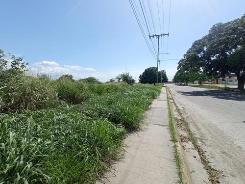 Imagen 6 de 10 de Terreno Venta Res. Palo Negro Casas, Canchas