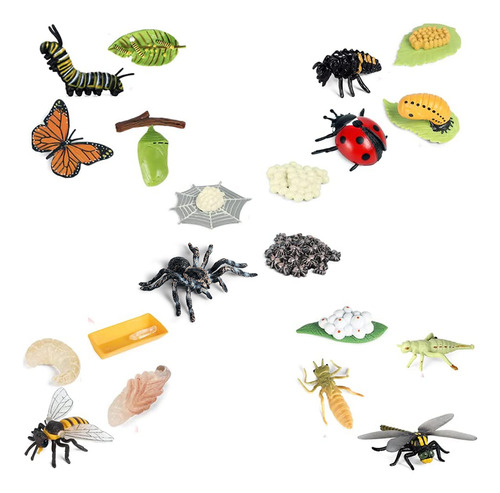 Figuras Del Ciclo Vital De Butterfly Spider Bee Ladybug Drag