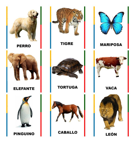 Pictogramas Tea 600 Tarjetas De Rutinas, Emociones Y Más Pdf