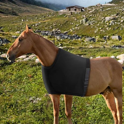 Chaleco Para Caballos Con Protección Para Hombros, Tejido
