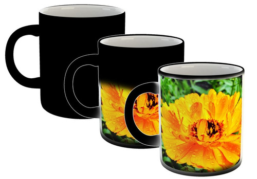 Taza Magica Flores Colores Naturaleza Plantas Paisaje M5