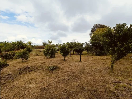 Se Venden Lotes En Quimbaya - Quindío