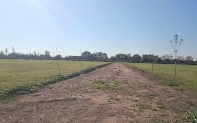 Imagen 2 de 6 de Vendo Lotes En San Guillermo Zona Sur Camino San Carlos