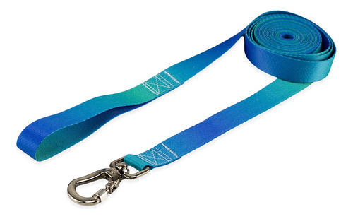 Coleira Guia Para Cachorro Micro Pet 10 Metros First Cor Lake