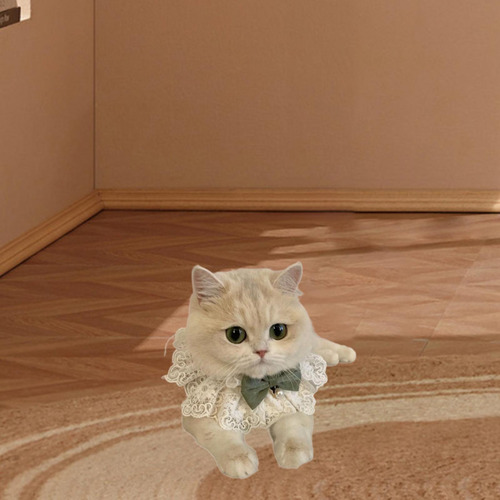 Collar De Encaje Para Gato, Bufanda Para , Accesorios De