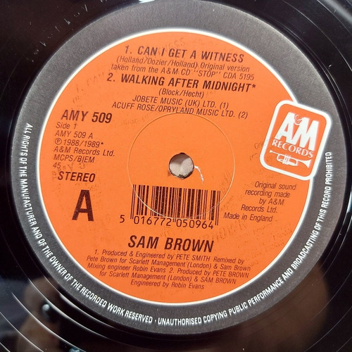 Vinil Lp Sam Brown Can Get A Witness