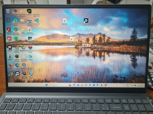 Notebook Dell Inspiron 15 5510, 20gb Ram, Ssd Nvme 500gb. Prateado (Usado)