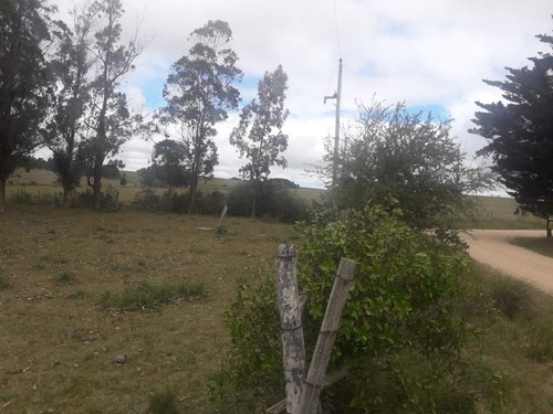 Campo De 12 Has En Paraje José Ignacio. Consulte !!!!!- Ref: 1372
