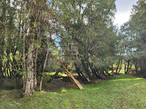 Cabaña Con Bosque Nativo Y Acceso A Río I Puerto Varas