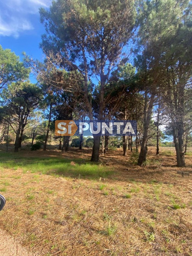 Lote En Barrio Privado Laguna Escondida - José Ignacio