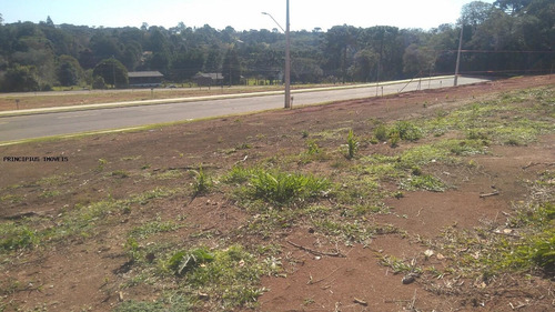 Imagem 4 de 15 de Terreno Para Venda Em Campina Grande Do Sul, Novo Daher - 00283b8_2-1195590