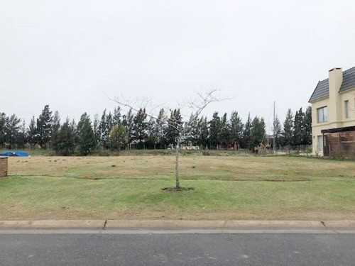 Imagen 2 de 5 de Terreno En Venta Ubicado En San Benito, Villanueva (tigre)