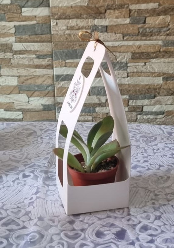 Imagen 3 de 5 de Regalos, Recuerdos Personalizados Naturales Suculentas Ofert