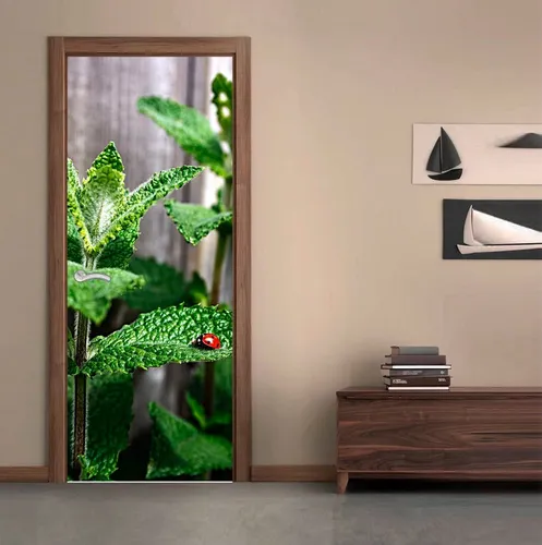 comprar Vinilo Para Puerta Mariquita Vaquita San Antonio M4