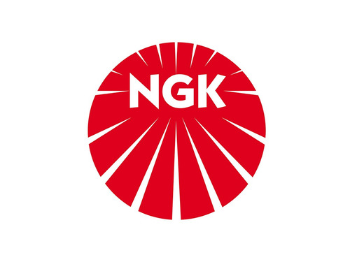 Bujia Ngk Motosierra Cortadora Pasto Desmalezadora