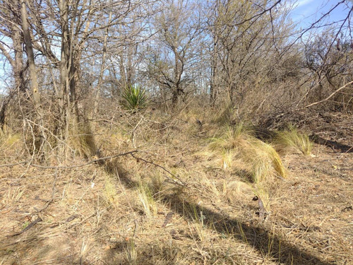 Imagen 3 de 9 de Lote En Venta De 1100m2 Ubicado En Cosquín