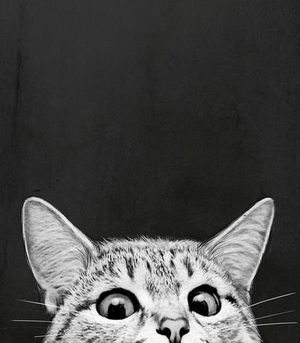 Imagen 7 de 9 de Set Cuadros Gatos En Lienzo Canvas Contemporáneos Modernos