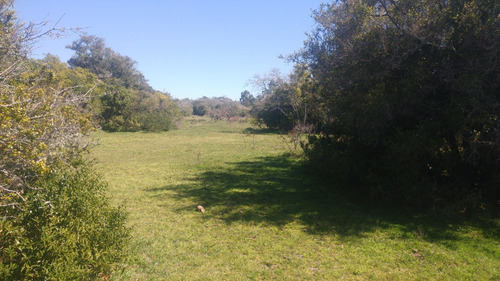 Lote Y Terreno En Punta Indio