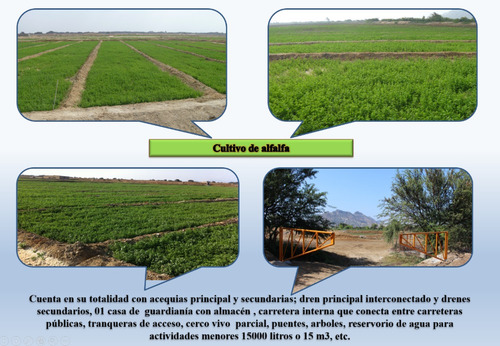Imagen 3 de 8 de Por Viaje_predio Agrícola_pueblo Nuevo_la Libertad 13.66 Has