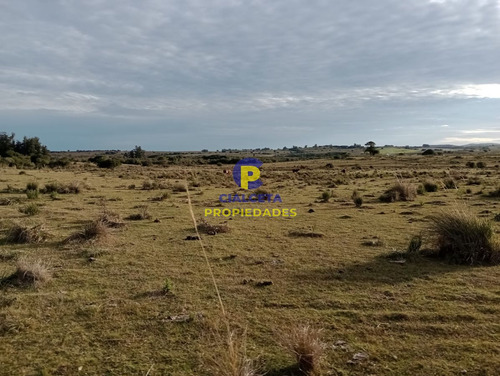 5 Hectáreas En Maldonado, Garzón