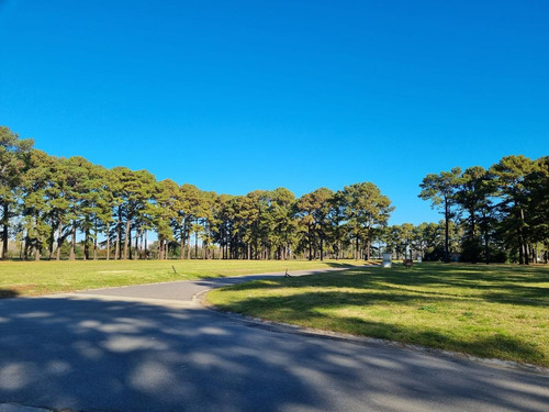 Imagen 16 de 30 de Terreno - Los Pinares C. Club