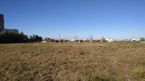 Imagen 21 de 30 de Terreno Interno Fondo Verde- San Sebastián - Área 1