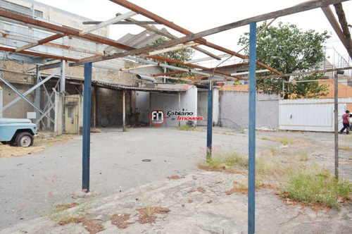 Lote 600m² Para Alugar, Bairro São Luiz, Belo Horizonte - Mg. - 5203