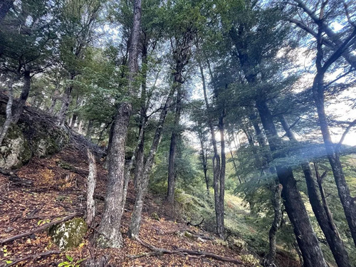 Sitio En Venta En Cochrane