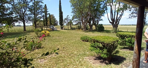 Imagen 3 de 30 de Campo En Venta